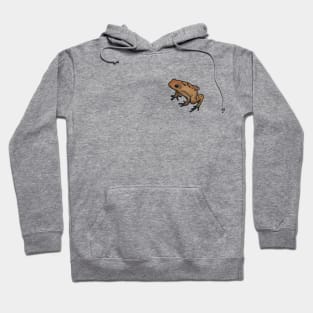 Lost toad Hoodie